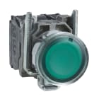 SCHNEIDER ELECTRIC - SNRXB4BW33M5 Pulsante luminoso verde Ø22 - filoghiera ad impulso - 230Vacac - 1NO+1NC- LED universale