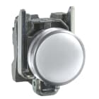 SCHNEIDER ELECTRIC - SNRXB4BVM1 Lampada spia Ø22 - bianca - LED universale - 230Vac