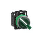 SCHNEIDER ELECTRIC - SNRXB5AK123B5C0 Selettore luminoso verde -Ø22- 24Vac/dc- ghiera grigia- 1NO+1NC - LED universale