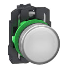 SCHNEIDER ELECTRIC - SNRXB5AVB15 LAMPADA SPIA BIANCA LED 24V PUSH-IN