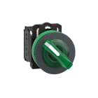 SCHNEIDER ELECTRIC - SNRXB5FK123B5 Selettore luminoso verde 2 pos.filopannello Ø30 24Vac/dc NO+NC- LED universale