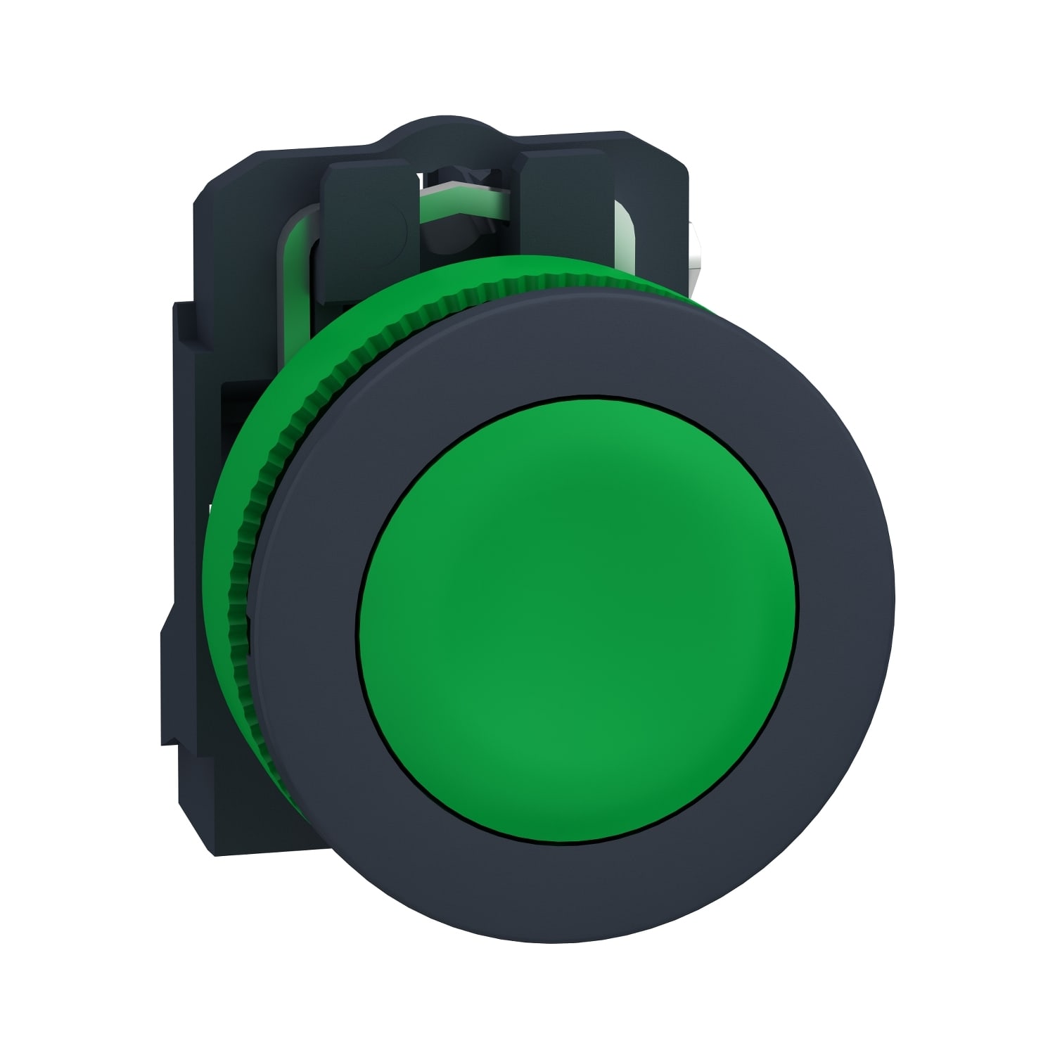 SCHNEIDER ELECTRIC - SNRXB5FA31 PULSANTE VERDE FILOPANNELLO 1NO