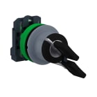 SCHNEIDER ELECTRIC - SNRXB5FG61C0 Selettore chiave 2pos.- filopannello - 1 NO - ghiera grigia- Ø30