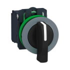 SCHNEIDER ELECTRIC - SNRXB5FJ33C0 Selettore a leva 3pos.- filopannello - 2NO - ghiera grigia- Ø30