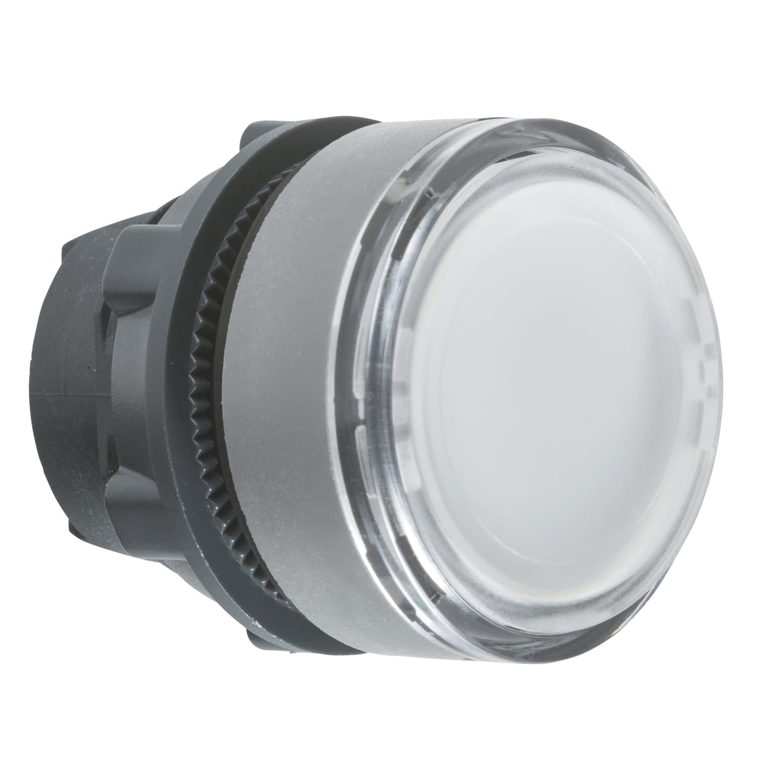 SCHNEIDER ELECTRIC - SNRZB5AH013C0 TESTA PULSANTE LUM. BIANCO GHIERA GRIGIA