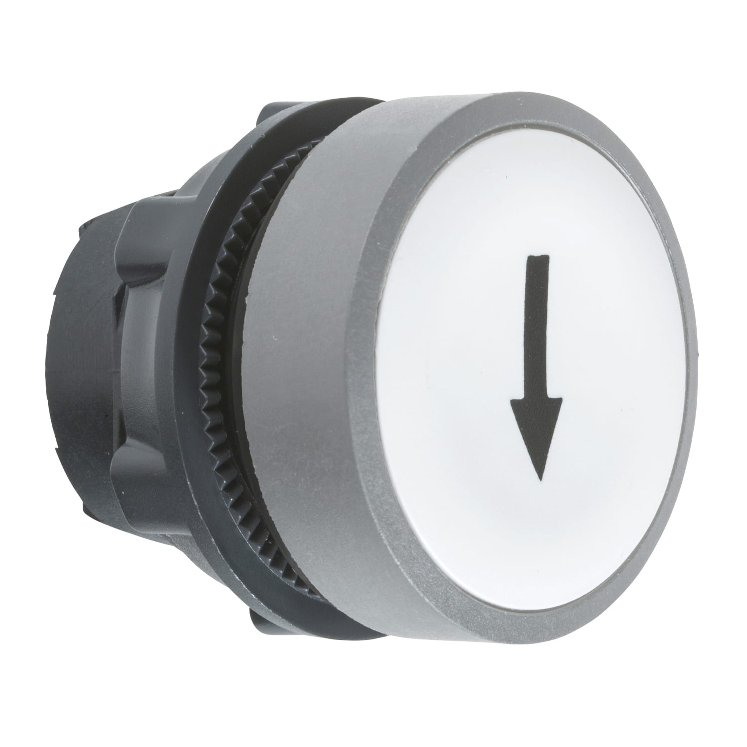 SCHNEIDER ELECTRIC - SNRZB5AA334C0 Testa puls.bianco freccia ghiera grigia