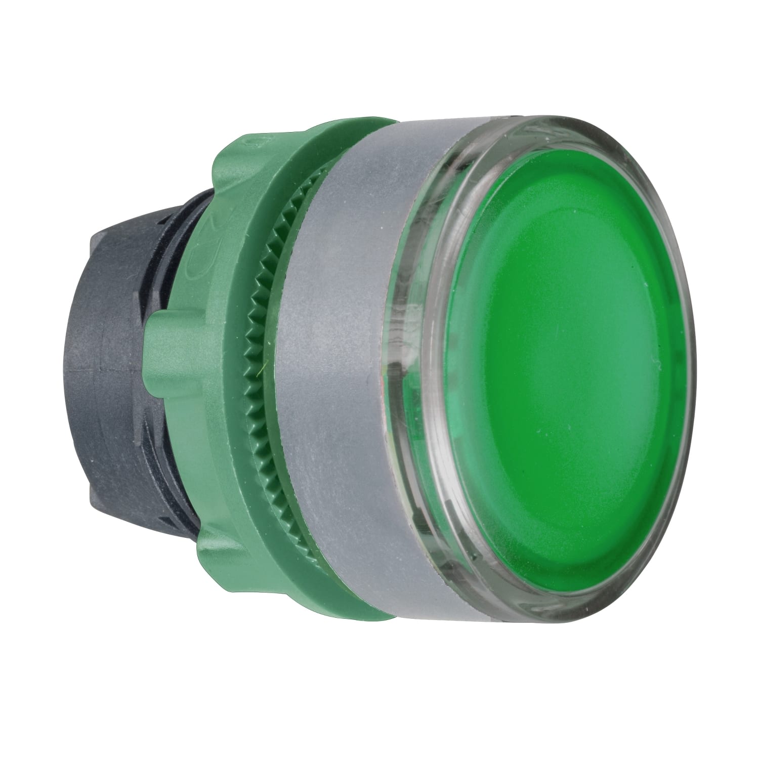 SCHNEIDER ELECTRIC - SNRZB5AH0383C0 Testa pulsante luminoso verde ghiera grigia