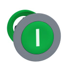 SCHNEIDER ELECTRIC - SNRZB5FA331C0 TESTA PULS. VERDE I A FILO GHIERA GRIGIA