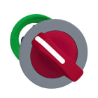SCHNEIDER ELECTRIC - SNRZB5FD204C0 TESTA SELETT.LEVA ROSSA 2POS. A FILO