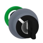 SCHNEIDER ELECTRIC - SNRZB5FG4C0 TESTA SELETT.CHIAVE 2 POS.A FILO GRIGIO