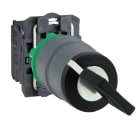 SCHNEIDER ELECTRIC - SNRXB5AG61C0 Selettore a chiave 2pos. 1NO ghiera grigia