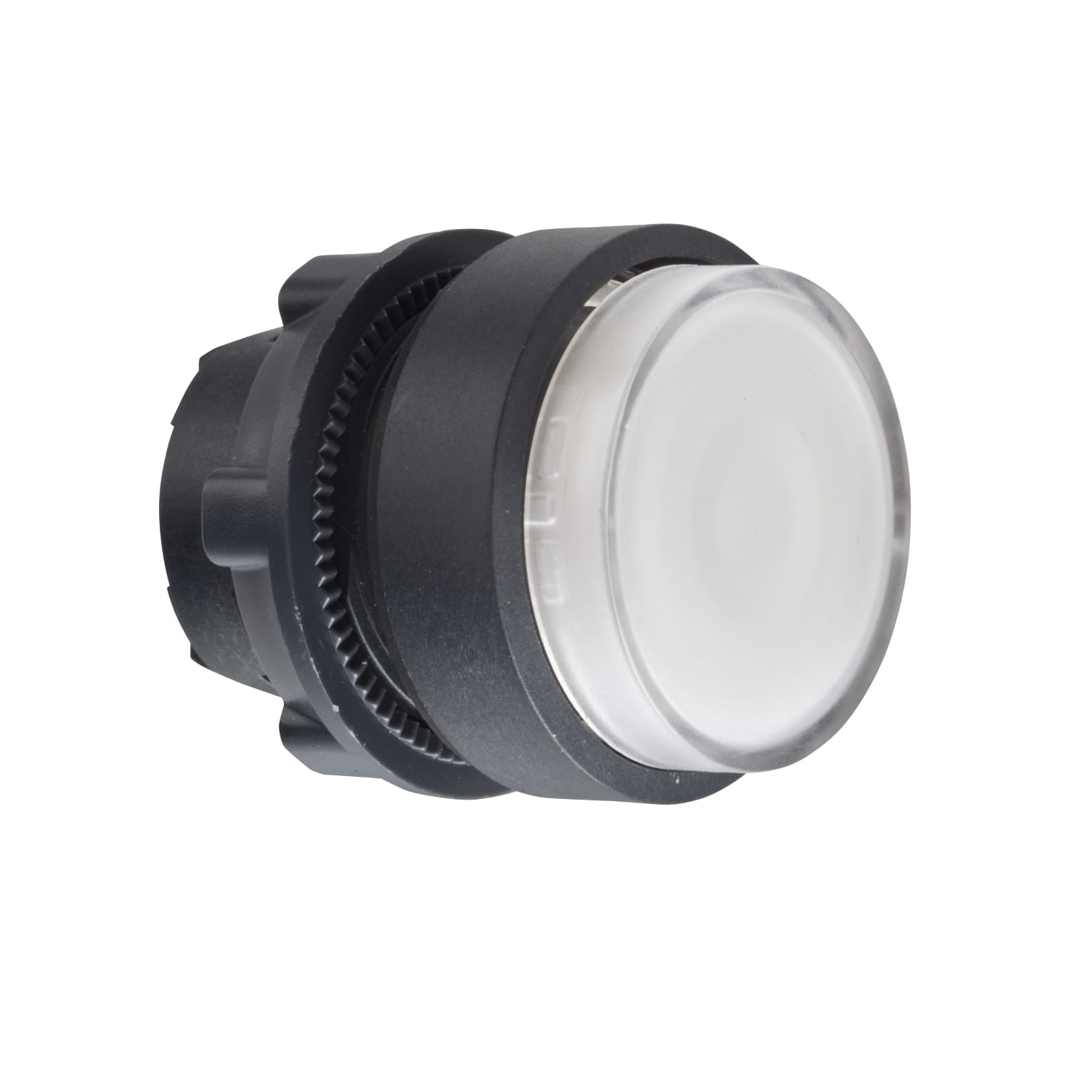 SCHNEIDER ELECTRIC - SNRZB5AW113 TESTA PULSANTE LUMINOSO BIANCO L