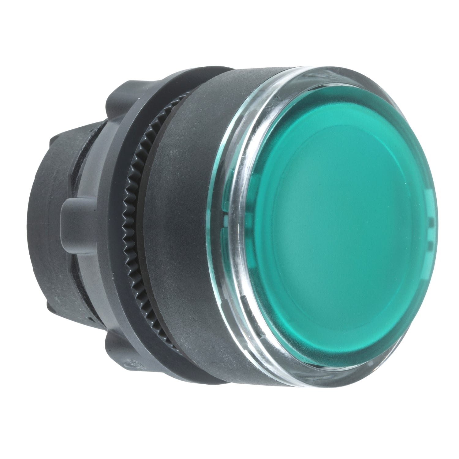 SCHNEIDER ELECTRIC - SNRZB5AA38 TESTA PULSANTE VERDE