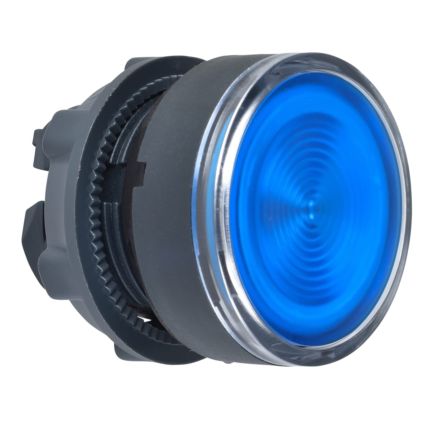 SCHNEIDER ELECTRIC - SNRZB5AA68 Testa pulsante luminoso Ø22 - blu - per inserimento etichetta- per LED universale