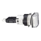 SCHNEIDER ELECTRIC - SNRXB6CV1BB Lampada spia quadrata Ø16 - IP65 - bianca - LED integrato - 24V