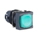 SCHNEIDER ELECTRIC - SNRZB6CW3 Testa pulsante luminoso quadrato Ø16 - filoghera - verde