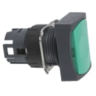 SCHNEIDER ELECTRIC - SNRZB6DA3 Testa pulsante rettangolare Ø16 - verde