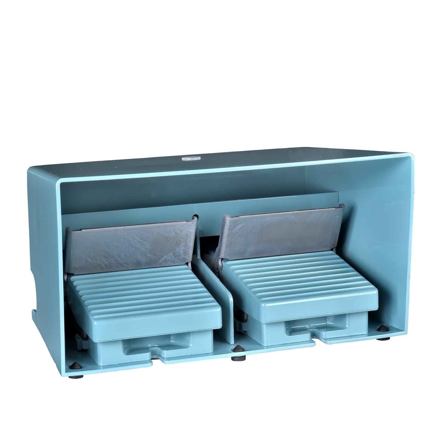 SCHNEIDER ELECTRIC - SNRXPEM5100D INTERRUTTORE A PEDALE BLU DOPPIO
