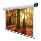 MELCHIONI SPA - MEM558000294 SCHERMO ELETTRICO 4OXX300 M - FORMATO 4O