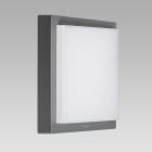 ARCLUCE SPA - ACL0289005A-930-16 PANDA-Q270 13W XB OP RLESS ON/OFF