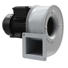 ELICENT (MAICO) - ELI1IC0001 IC 100 T 009K LG STD