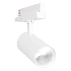 LEDVANCE - LDVTRSPXR30930W TR SP XR V 30W 930 24DEG WT LEDV