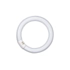 LEDVANCE - LDVL32840CN LUMILUX® T9 C 32 W/840 G10Q