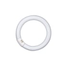 LEDVANCE - LDVL32840CN L 32W/840 C G10Q FLH1 OSRAM