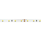 LINEA LIGHT (ILED) - ILDC0033WDI05000 RIBBON BA_V2 24V 4.8W/M 60L 5M 3000