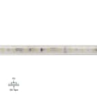 LINEA LIGHT (ILED) - ILDC0019WDI05019 PU_C+ BA 5M 24V 140LED/M R90 3000K
