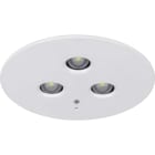 EATON - EAO40071353365 3583 LED INCASSO SIMM 1/3/8H SA/SE CGLIN