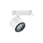 LINEA LIGHT (ILED) - ILDC00440WHWFL OPTUS-T V2 7 27WAC BALANCE WH