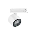 LINEA LIGHT (ILED) - ILDC00433WHWWF OPTUS-T V2 2 18WAC FIDELITY WH