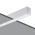 PERFORMANCE IN LIGHT - PRI3109611 SL787+ RE L 11 S/A 830 WH9016 OP