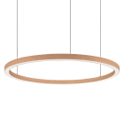 LINEA LIGHT (ILED) - ILDC00415HCWDI TOUR SOSP.DIR.70W 24V D.1430 HC BC