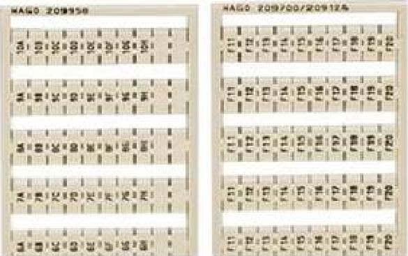 WAGO ITALIA SRL - WAG249-616 SCHEDA DI MARCATURA WSB COME SCHEDA, BIA