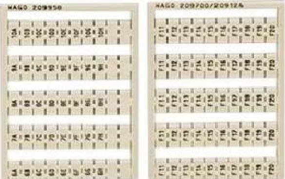 WAGO ITALIA SRL - WAG209-995 SCHEDA DI MARCATURA WSB COME SCHEDA, BIA