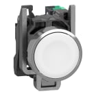 SCHNEIDER ELECTRIC - SNRXB4BA115 PULSANTE BIANCO 1NO PUSH-IN