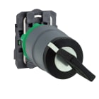 SCHNEIDER ELECTRIC - SNRXB5AG21C0 SELETT. A CHIAVE 2POS. 1NO GHIERA GRIGIA