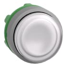 SCHNEIDER ELECTRIC - SNRZB5AW113C0 TESTA PULSANTE LUM.BIANCO GHIERA GRIGIA