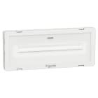 SCHNEIDER ELECTRIC - SNROVA48531 Lampada di emergenza, Exiway Smartled, Activa/Dicube, durata selezionabile, 750 lm, permanente/non permanente, IP65, parete