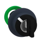 SCHNEIDER ELECTRIC - SNRZB5FG6 TESTA SELETTORE CHIAVE 2POS.FILOPANNELLO