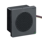 SCHNEIDER ELECTRIC - SNRXVSV9BBN Allarme elettronico modificabile - DIN96 - VNC/NOE - nero - NPN - 12-24 VDC