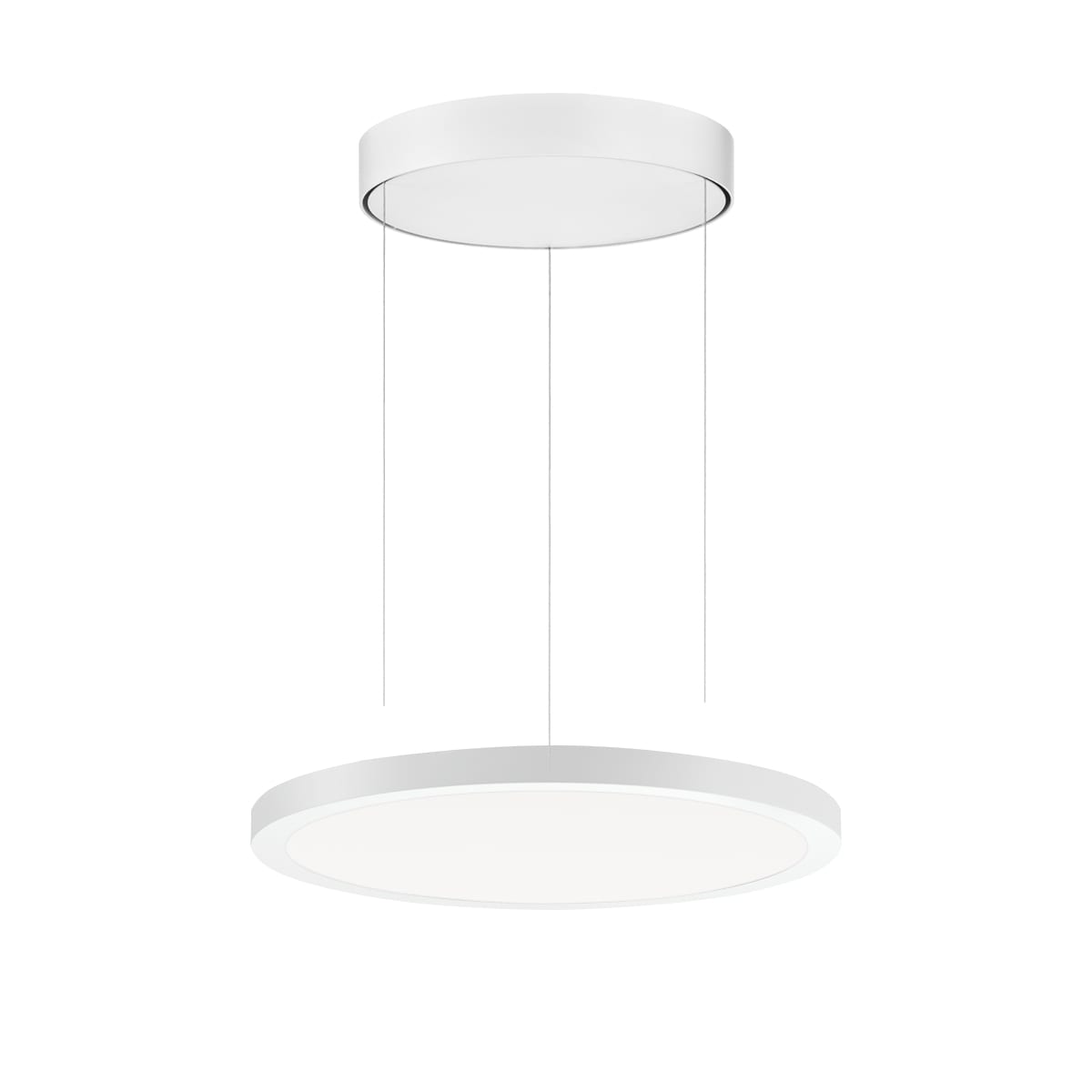 PERFORMANCE IN LIGHT - PRI3124294 FL R+ 333 PL 8/23 S/A 830 WH9016 OP