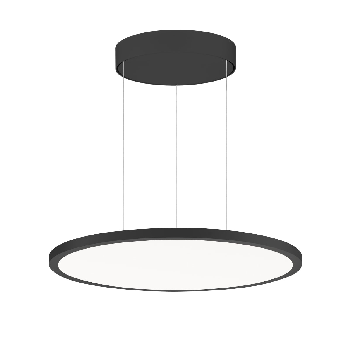 PERFORMANCE IN LIGHT - PRI3124320 FL R+ 555 PL 19 S/A 840 BK9005 DALI OP