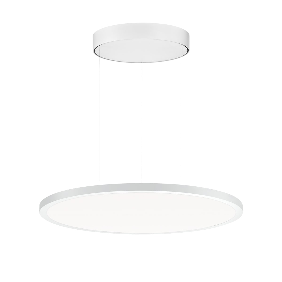 PERFORMANCE IN LIGHT - PRI3124344 FL R+ 555 PL 44 S/A 830 WH9016 OP