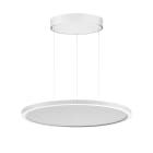 PERFORMANCE IN LIGHT - PRI3124358 FL R+ 555 PL 44 S/A 8TW WH9016 DT8 MP