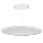 PERFORMANCE IN LIGHT - PRI3124391 FL R+ 777 PL 59 S/A 830 WH9016 DALI MP