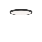 PERFORMANCE IN LIGHT - PRI3123846 FL R+ 333 RE 8/23 S/A 830 BK9005 OP