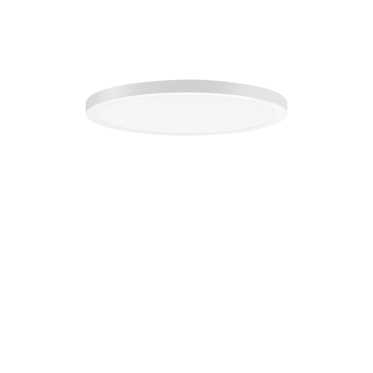 PERFORMANCE IN LIGHT - PRI3123864 FL R+ 333 RE 8/23 S/A 840 WH9016 OP
